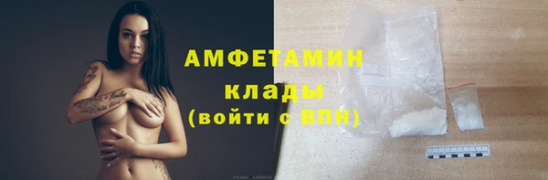 сатива Зеленокумск