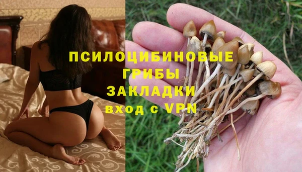 ECSTASY Зерноград
