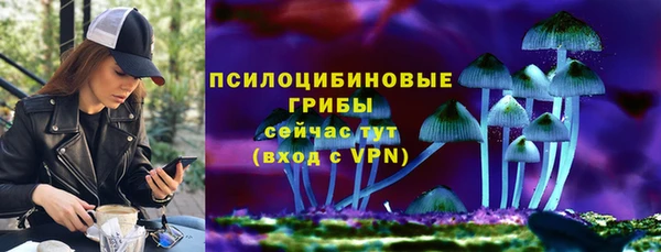 сатива Зеленокумск