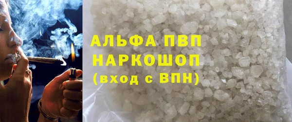 сатива Зеленокумск